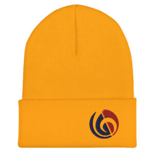 Hidden Beats Beanie