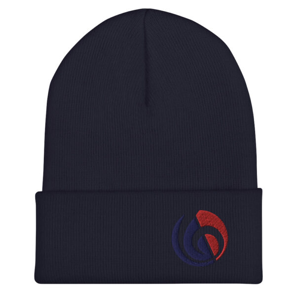 Hidden Beats Beanie