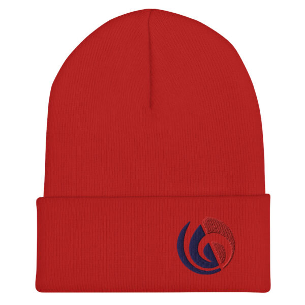 Hidden Beats Beanie