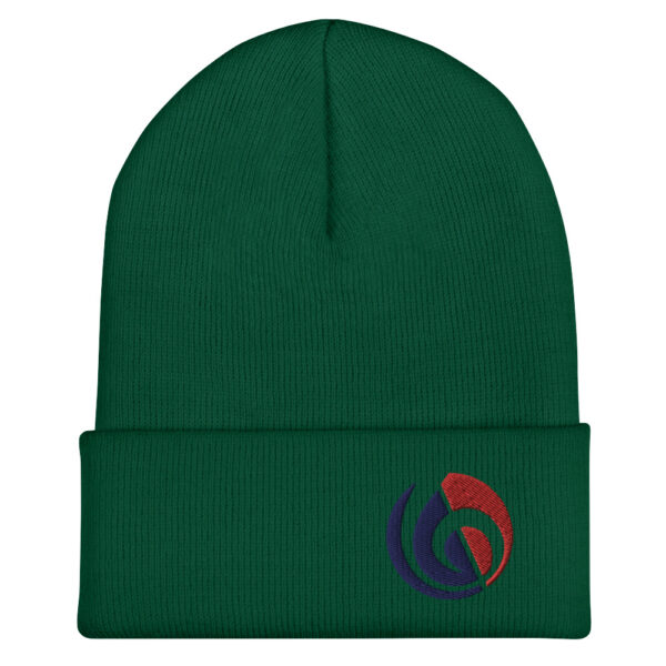 Hidden Beats Beanie
